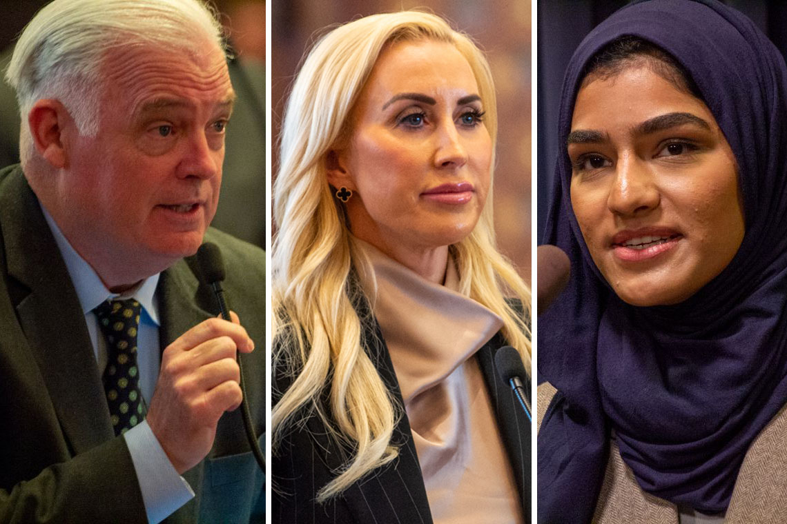 Illinois Democrats eye suburbs in push to expand supermajorities ...